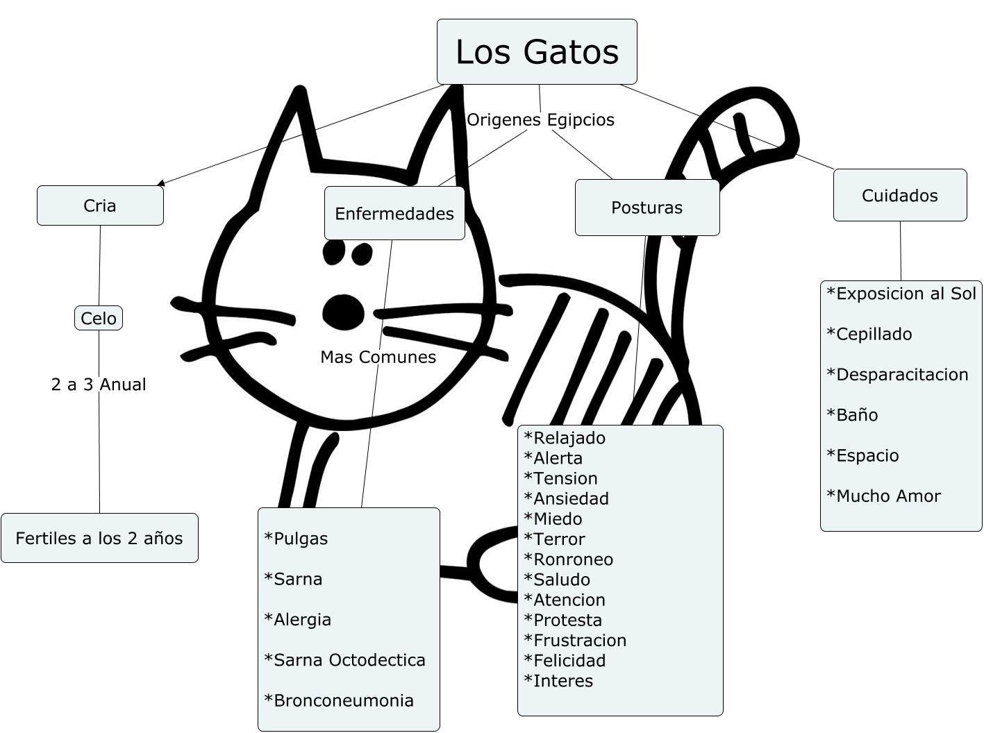 Los Gatos